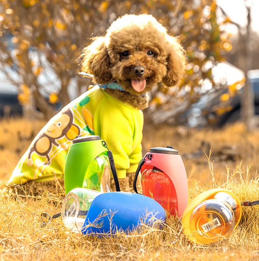 Portable Pet Water Bottle with Bowl
