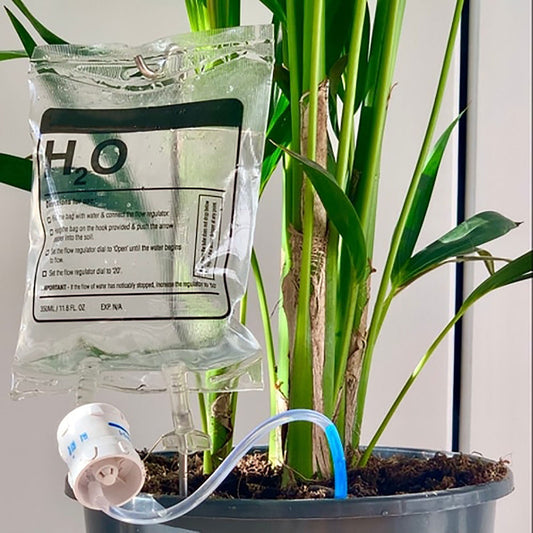 Automatic Plant Watering Device with Adjustable Flow